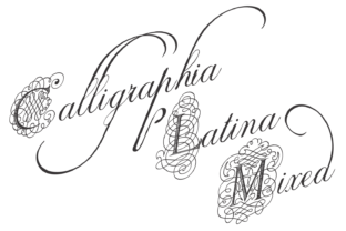 Calligraphia Latina Mixed: A Display Font for Editorial Storytelling
