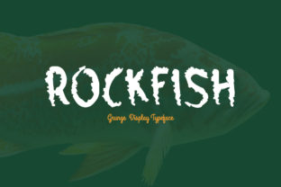 Rockfish: A Display Font With Character for Branding Projects
