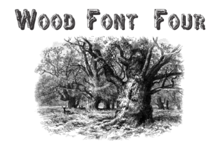 Wood Font Four: A Warm Display Typeface for Natural Branding